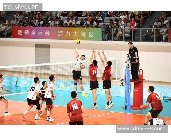 广州排球队与上海排球队赛后复盘分析团队配合与战术执行的关键因素